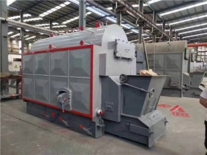 生物质热水锅炉