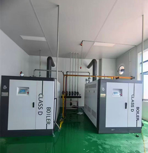 D级直流蒸汽发生器两台案例