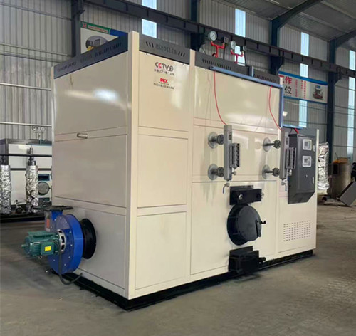 D级生物质蒸汽发生器